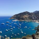 Catalina Island w/Discover Avalon Scenic Tour & Hotel transfers - What Travelers Love About This Tour