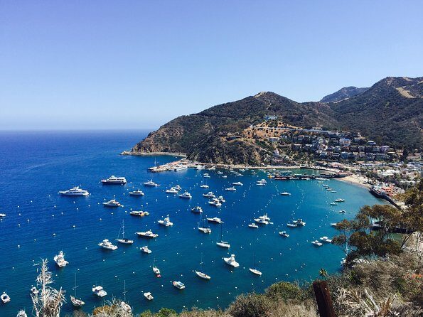 Catalina Island w/Discover Avalon Scenic Tour & Hotel transfers - What Travelers Love About This Tour