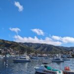 Catalina Scavenger Hunt Walking Tour and Game - Practical Tips for Enjoying the Tour