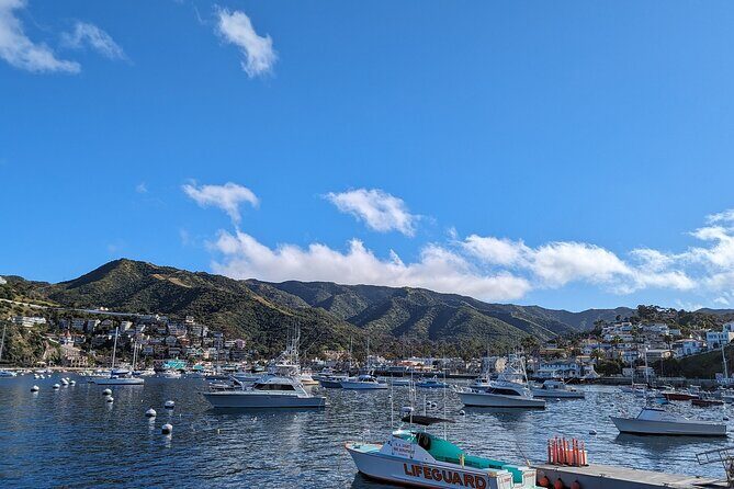 Catalina Scavenger Hunt Walking Tour and Game - Practical Tips for Enjoying the Tour