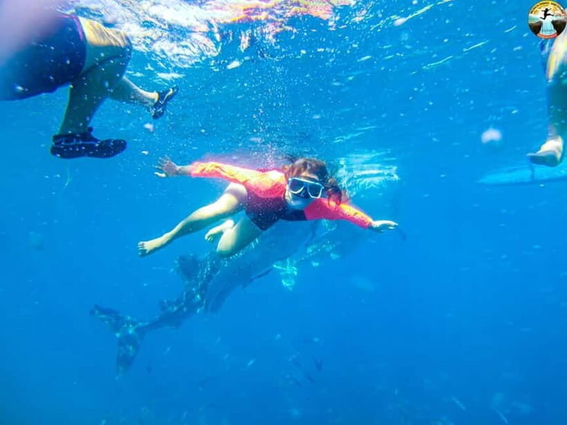 Cebu: 2-Day Island-Hopping, Canyoneering, and Whale Shark - Frequently Asked Questions