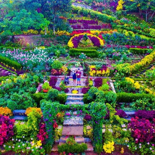 Cebu Balamban Uphill Adventure Tour - An In-Depth Look at Cebu Balamban Uphill Adventure Tour