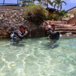 Cebu: Beach Scuba Diving Experience - The Itinerary: What You Can Expect