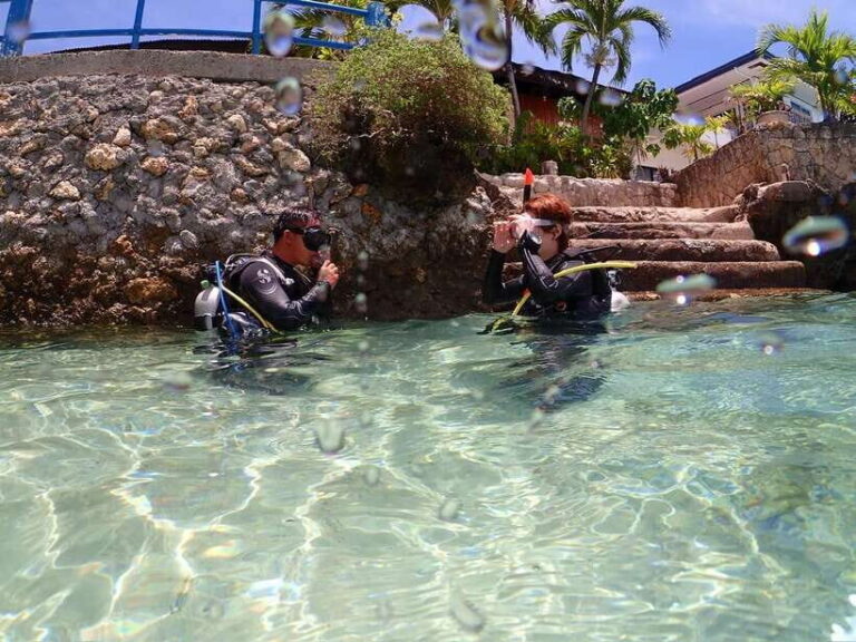 Cebu: Beach Scuba Diving Experience - The Itinerary: What You Can Expect
