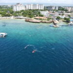 Cebu: boat diving two dive tour in Olango island - The Itinerary: What You Can Expect