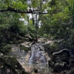 Cebu City: Guided Trekking Experience - Who Should Consider This Tour?