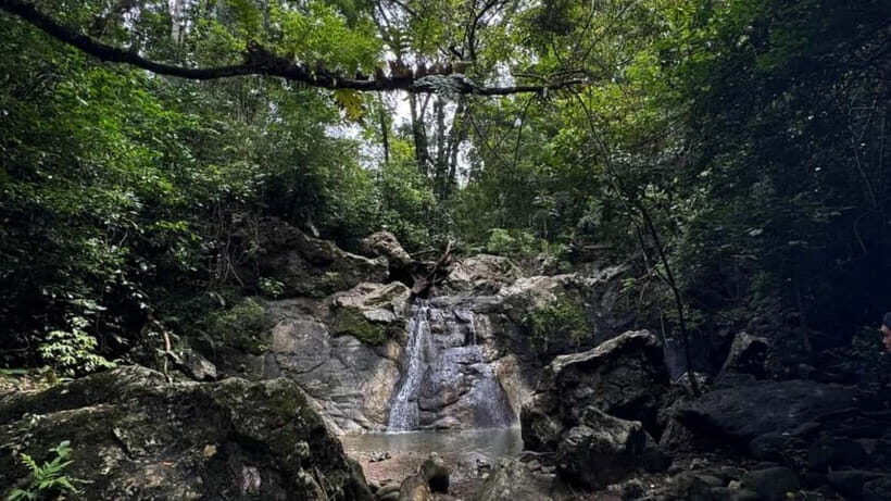 Cebu City: Guided Trekking Experience - Who Should Consider This Tour?