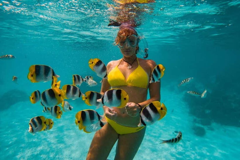 Cebu: Island Hopping 3 Islands + Pandanon Island + Lunch - Who Should Consider This Tour?