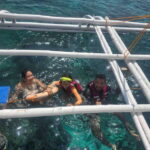 Cebu Island Hopping with Lunch - An In-Depth Look at Cebu Island Hopping with Lunch
