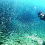 Cebu: Mactan Island Hopping Tour with Snorkeling - The Sum Up