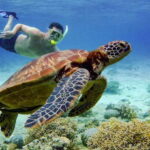 Cebu: Moalboal Snorkeling & Kawasan Canyoneering Adventure - What’s Included and What to Consider