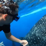 Cebu: Oslob Whale Shark and Moalboal Snorkeling Adventure - Exploring the Full-Day Itinerary