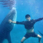 Cebu: Oslob Whale Shark Encounter & SUMILON with Transfers - The Practicalities: What You Need to Know