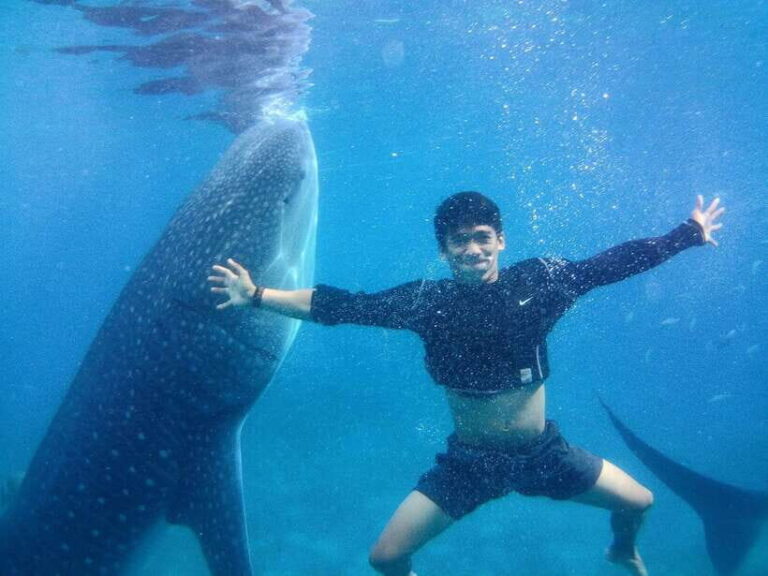 Cebu: Oslob Whale Shark Encounter & SUMILON with Transfers - The Practicalities: What You Need to Know