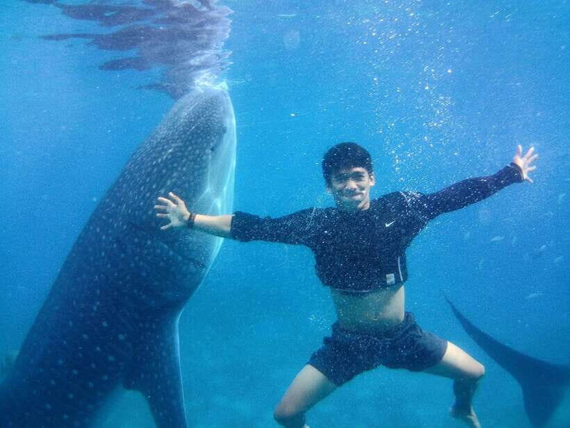 Cebu: Oslob Whale Shark Encounter & SUMILON with Transfers - The Practicalities: What You Need to Know