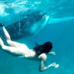 Cebu: Oslob Whale Shark, Sumilon, Ruins, Simala Church - Final Thoughts: Is This Tour Worth It?