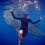 Cebu Oslob Whaleshark and Sumilon Island Full-Day Private Tour - FAQ