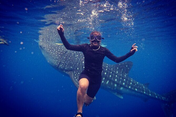 Cebu Oslob Whaleshark and Sumilon Island Full-Day Private Tour - FAQ