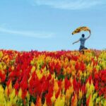 Cebu: Private Twin City Tour +Temple of Leah + Sirao Flower Farm - Frequently Asked Questions