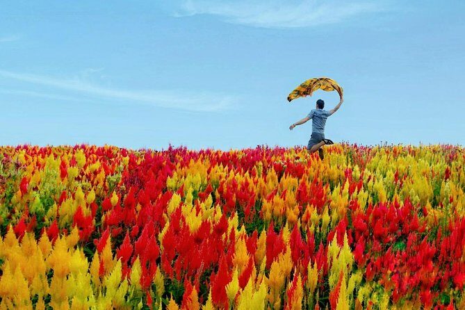 Cebu: Private Twin City Tour +Temple of Leah + Sirao Flower Farm - Frequently Asked Questions