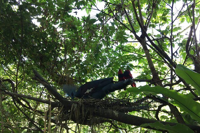 Cebu Safari and Adventure Park - FAQ