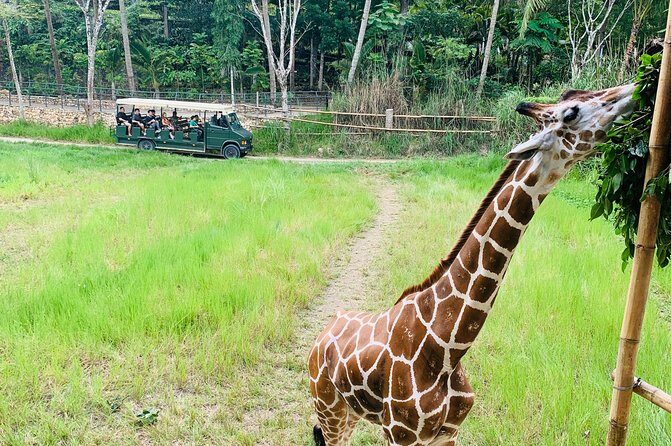 Cebu Safari Journeys - Why This Tour Offers Good Value