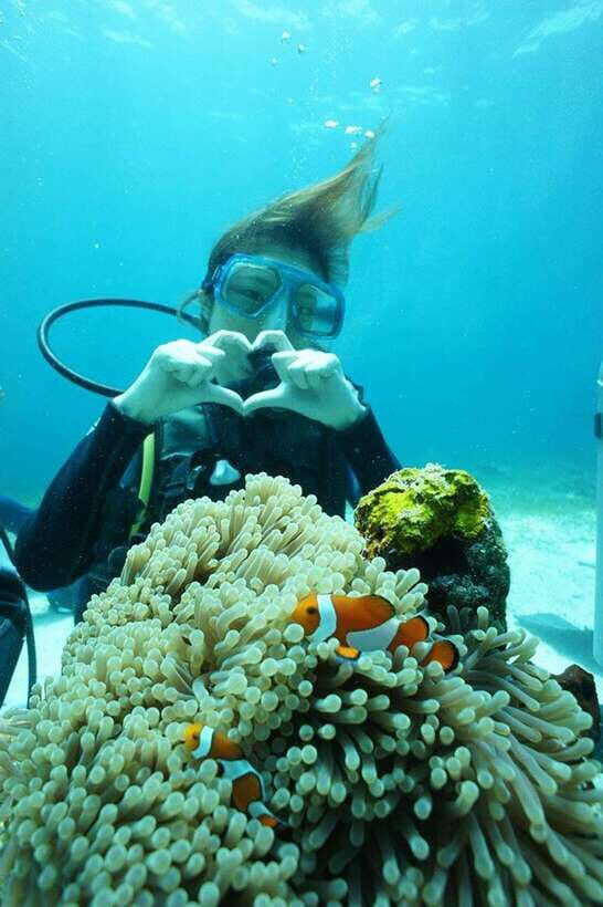 CEBU: Try diving & souvenir underwater photo - The Value of This Experience