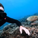 Cebu Ultimate Adventure: Oslob, Inambakan Falls & Moalboal - Full-Day Itinerary Breakdown