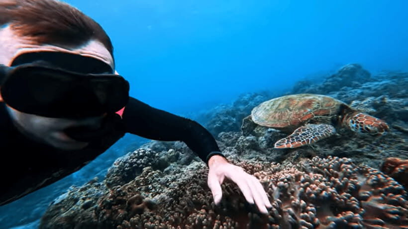 Cebu Ultimate Adventure: Oslob, Inambakan Falls & Moalboal - Full-Day Itinerary Breakdown