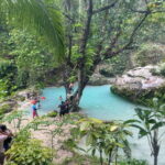 Cebu: Whale Shark, Inambakan Falls & Moalboal Sardine Tour - What’s Included and What’s Not