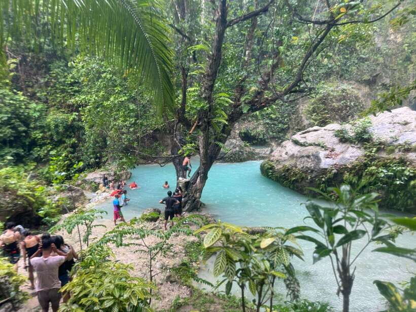 Cebu: Whale Shark, Inambakan Falls & Moalboal Sardine Tour - What’s Included and What’s Not