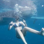 Cebu: Whale Shark Watching and Canyoneering Group Tour - Who is this tour best suited for?