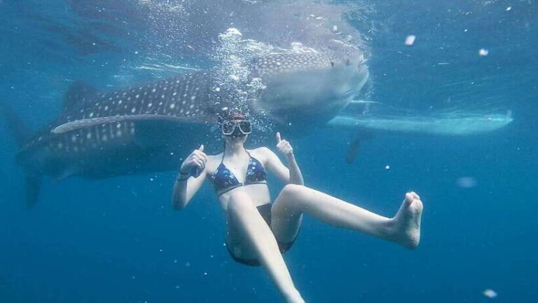 Cebu: Whale Shark Watching and Canyoneering Group Tour - Who is this tour best suited for?