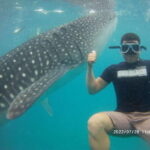 Cebu: Whaleshark Encounter, Tumalog Falls & Sumilon Sandbar - The Value of the Tour