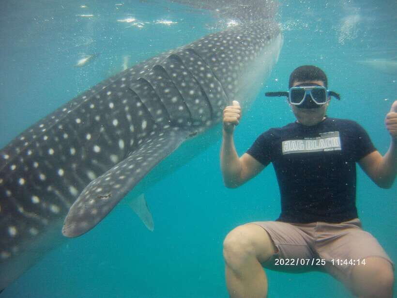 Cebu: Whaleshark Encounter, Tumalog Falls & Sumilon Sandbar - The Value of the Tour