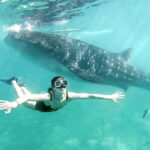 Cebu: Whaleshark Swimming & Kawasan falls Canyoneering Tour - Who Will Love This Tour?