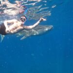 Cebu Whaleshark Tour - A Detailed Look at What to Expect on the Cebu Whaleshark Tour
