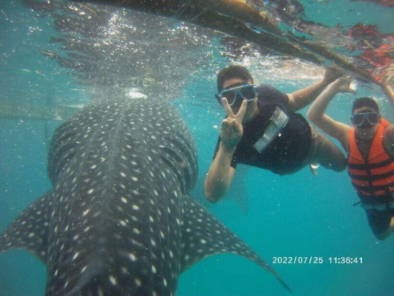 Cebu: WhaleShark , Tumalog Falls, & Sardine Run Snorkeling - A Detailed Look at What’s Included and What to Expect