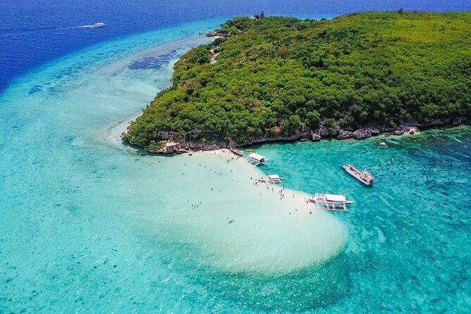 Cebu Whaleshark Watching w/ Sumilon Island Hopping - Final Thoughts
