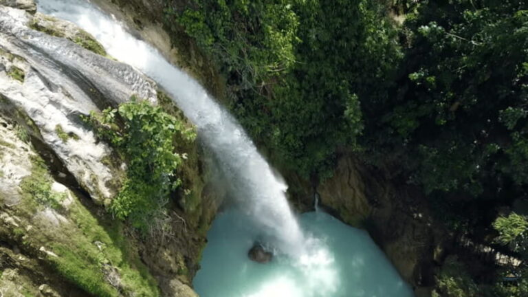 Cebu:Oslob Whales,Sumilon Island & Inambakan Falls Adventure - Practical Details and What to Expect