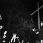 Cemetery and Ghost BYOB Bus Tour in New Orleans - Who Will Love This Tour?