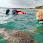 Cenote and Swimming with Turtles Private Tour in Akumal - Is This Tour Worth the Price?