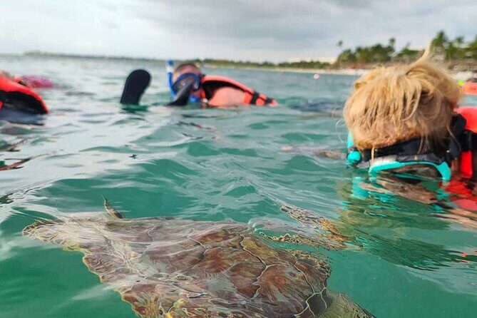 Cenote and Swimming with Turtles Private Tour in Akumal - Is This Tour Worth the Price?