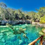 CENOTE DAY! with transportation from Cancun, Playa DC or Tulum - A Closer Look at the Cenotes Day Tour
