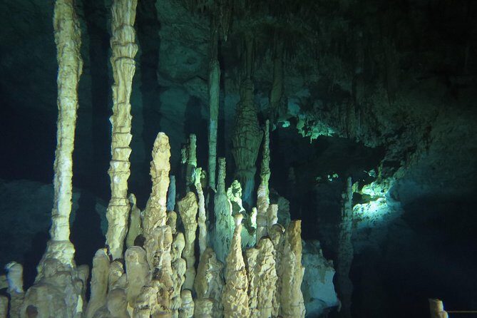 Cenote diving Dream Gate - Exploring Cenote Dream Gate: A Closer Look
