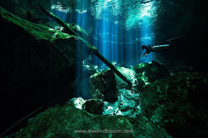 Cenotes 2-Day Scuba Diving Package in the Riviera Maya
