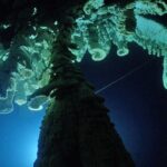 Cenotes 2-Tank Dive in Playa del Carmen/for certified divers only - An In-Depth Look at the Cenotes 2-Tank Dive Experience