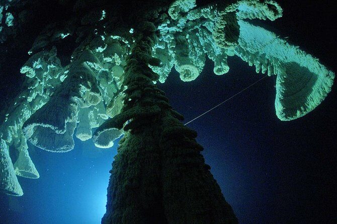 Cenotes 2-Tank Dive in Playa del Carmen/for certified divers only - An In-Depth Look at the Cenotes 2-Tank Dive Experience