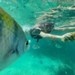 Cenotes Private Tour VIP - Why This Tour Works for Different Travelers