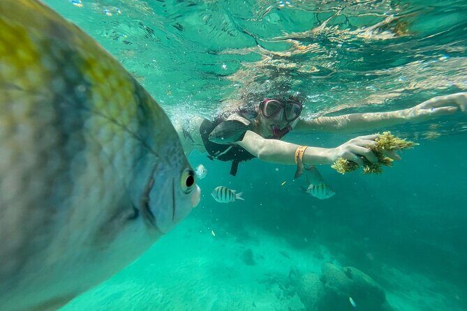 Cenotes Private Tour VIP - Why This Tour Works for Different Travelers